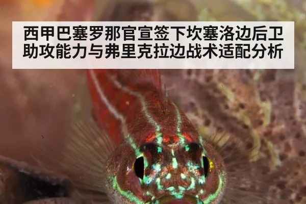 西甲巴塞罗那官宣签下坎塞洛边后卫助攻能力与弗里克拉边战术适配分析