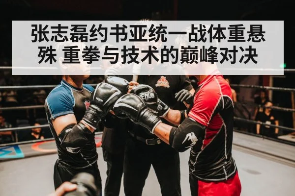 张志磊约书亚统一战体重悬殊 重拳与技术的巅峰对决